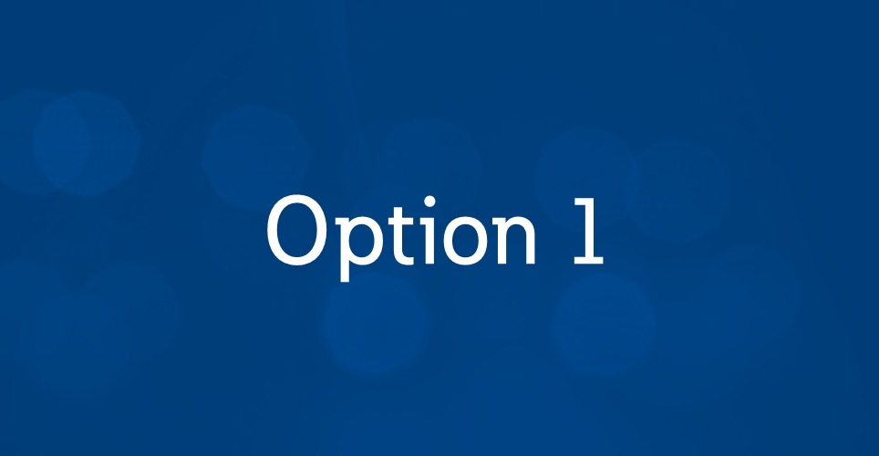 Option 1
