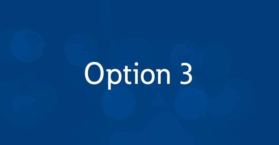 Option 3